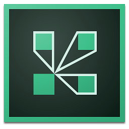 Adobe Connect