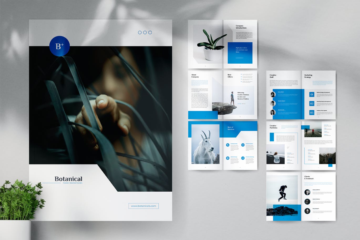 MADDON Botanical Business Brochures Template
