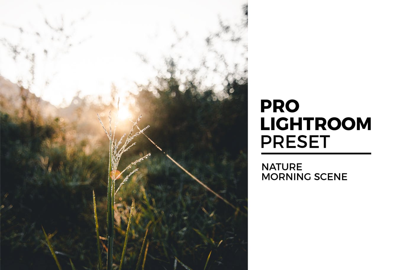 Nature Morning Scene Preset