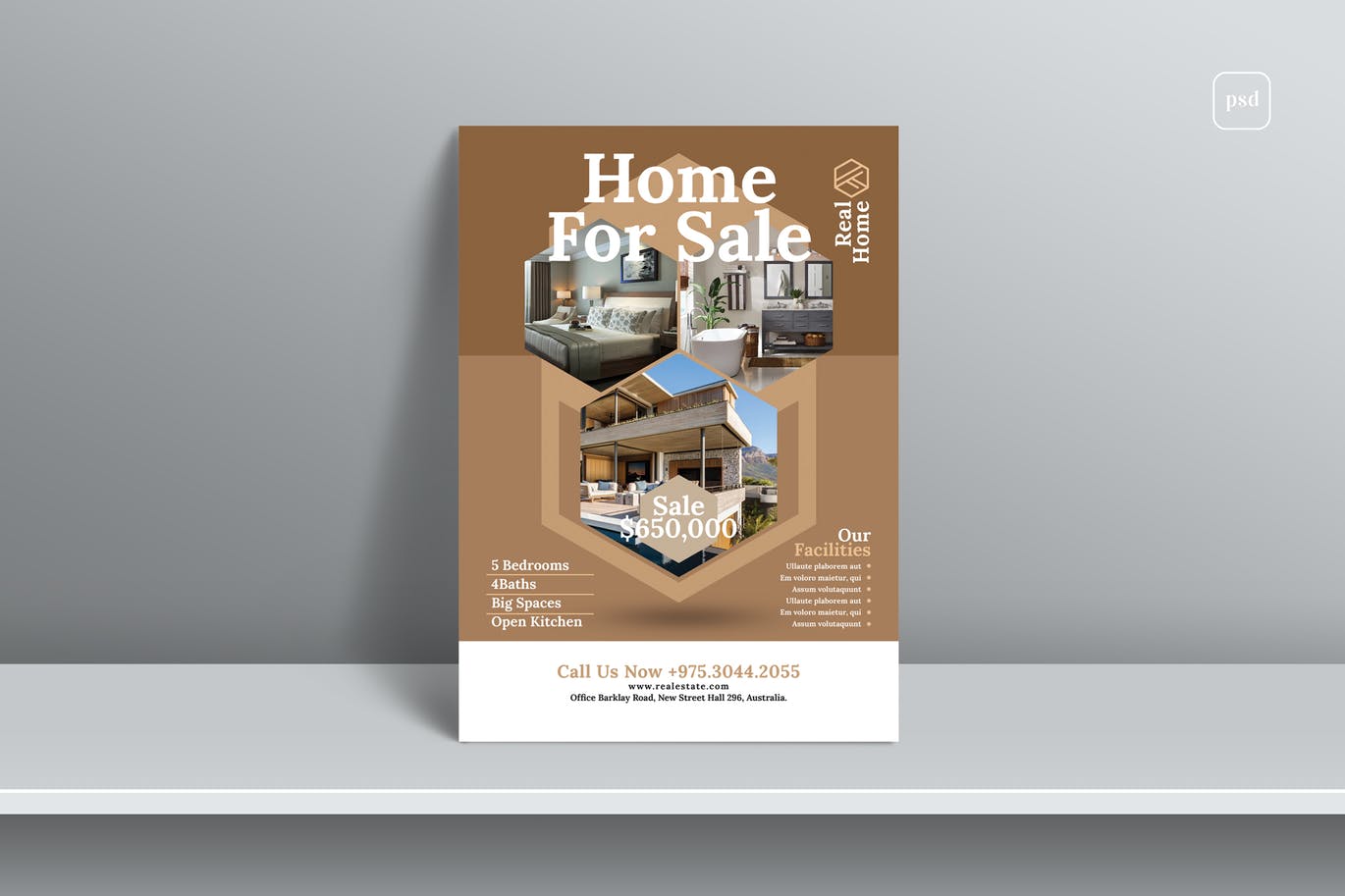 Real Estate Flyer