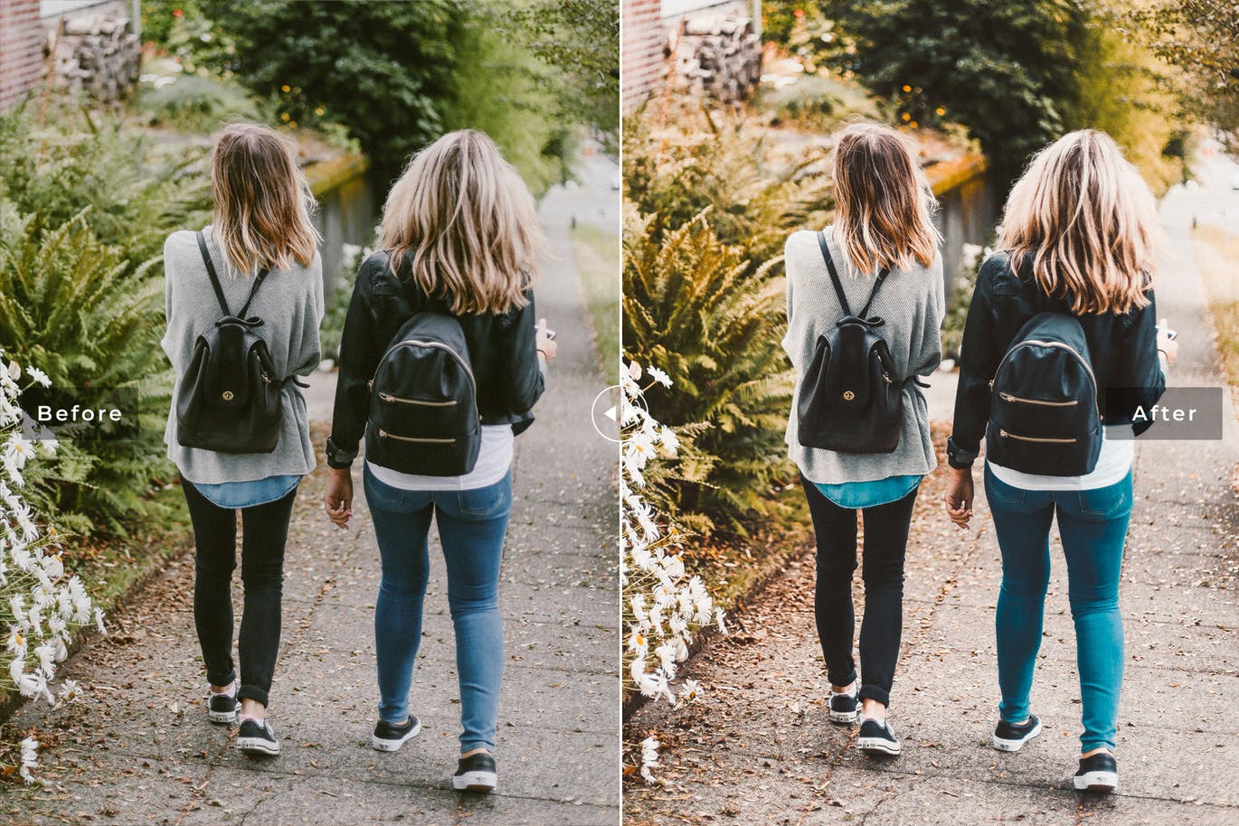 Desktop Lightroom Presets