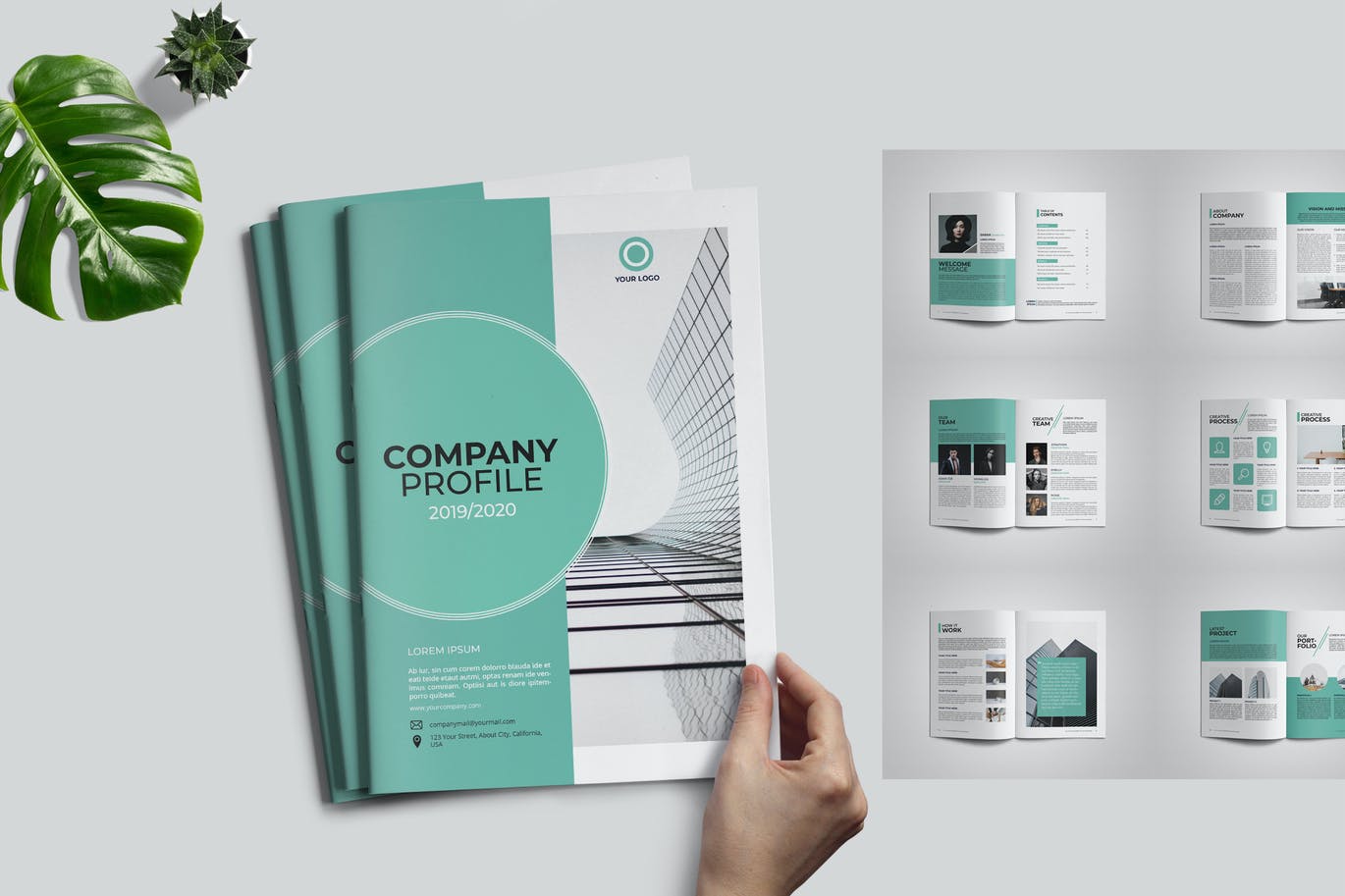Company Profile