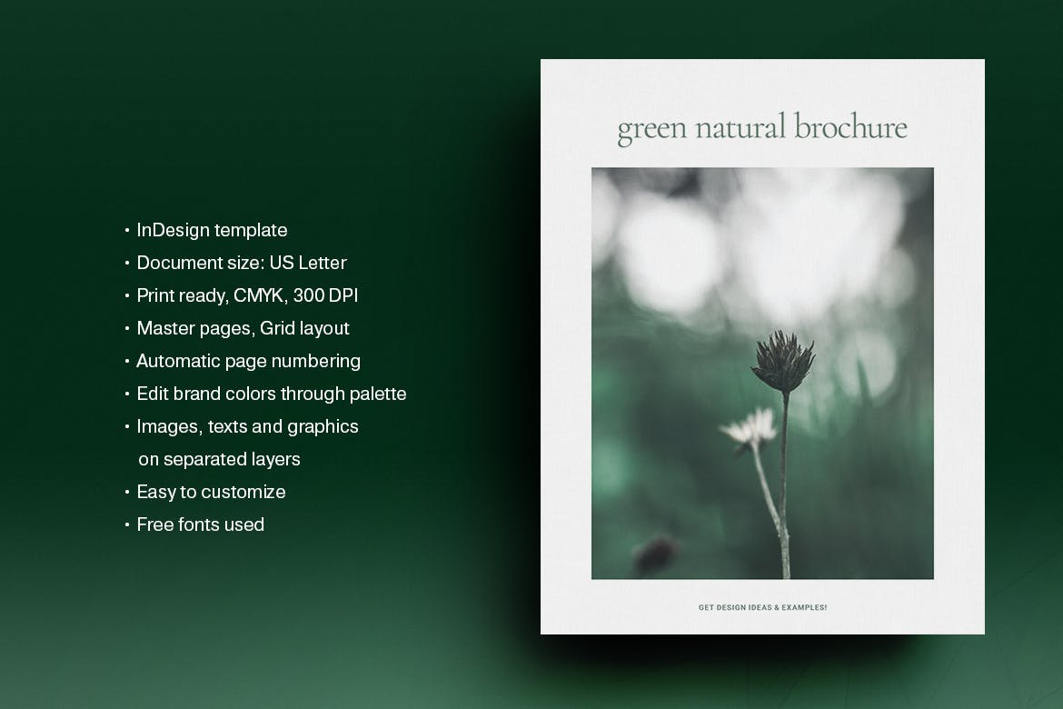 Green Natural Brochure Template