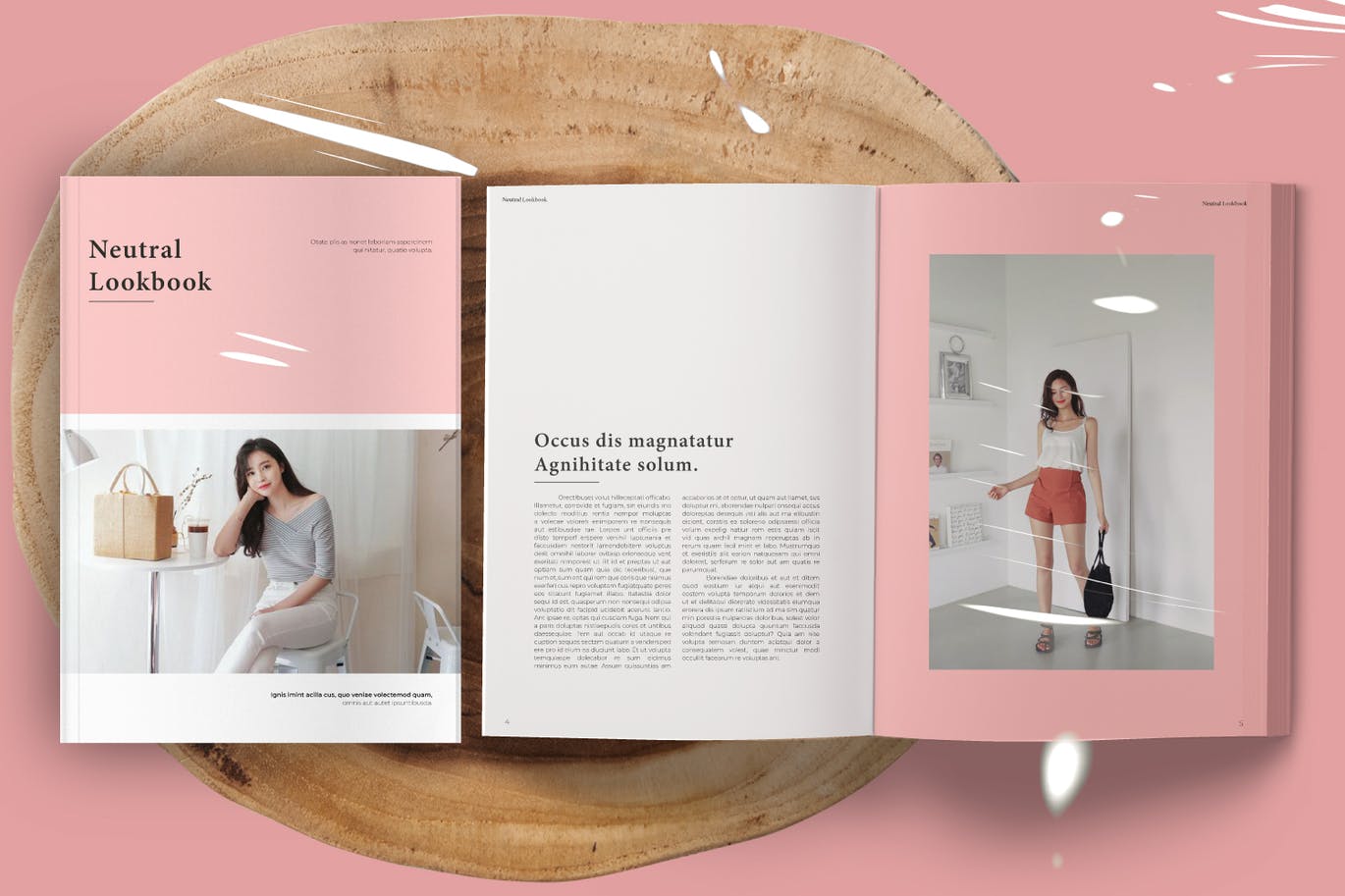 Neutral Fashion Lookbook