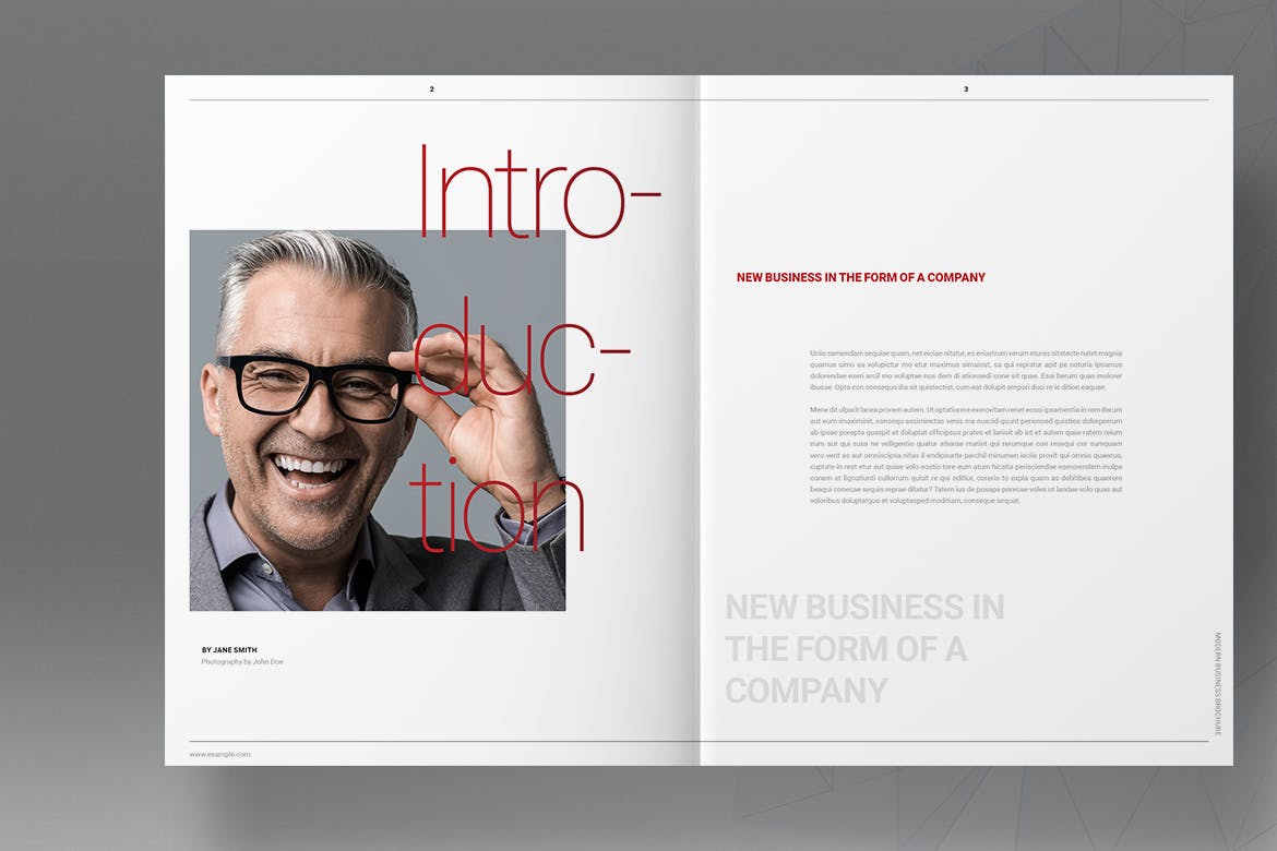 Red Company Business Brochure