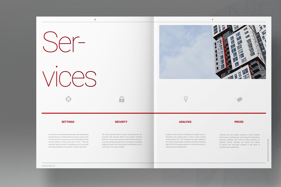 Red Company Business Brochure