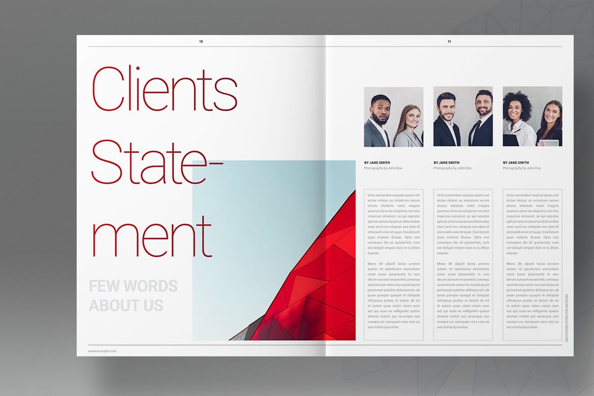 Red Company Business Brochure