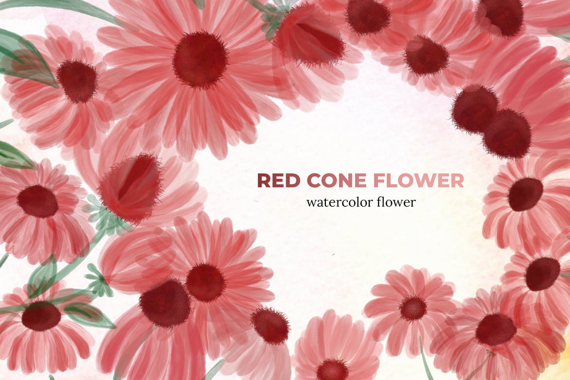 10 Watercolor Red Cone Flower