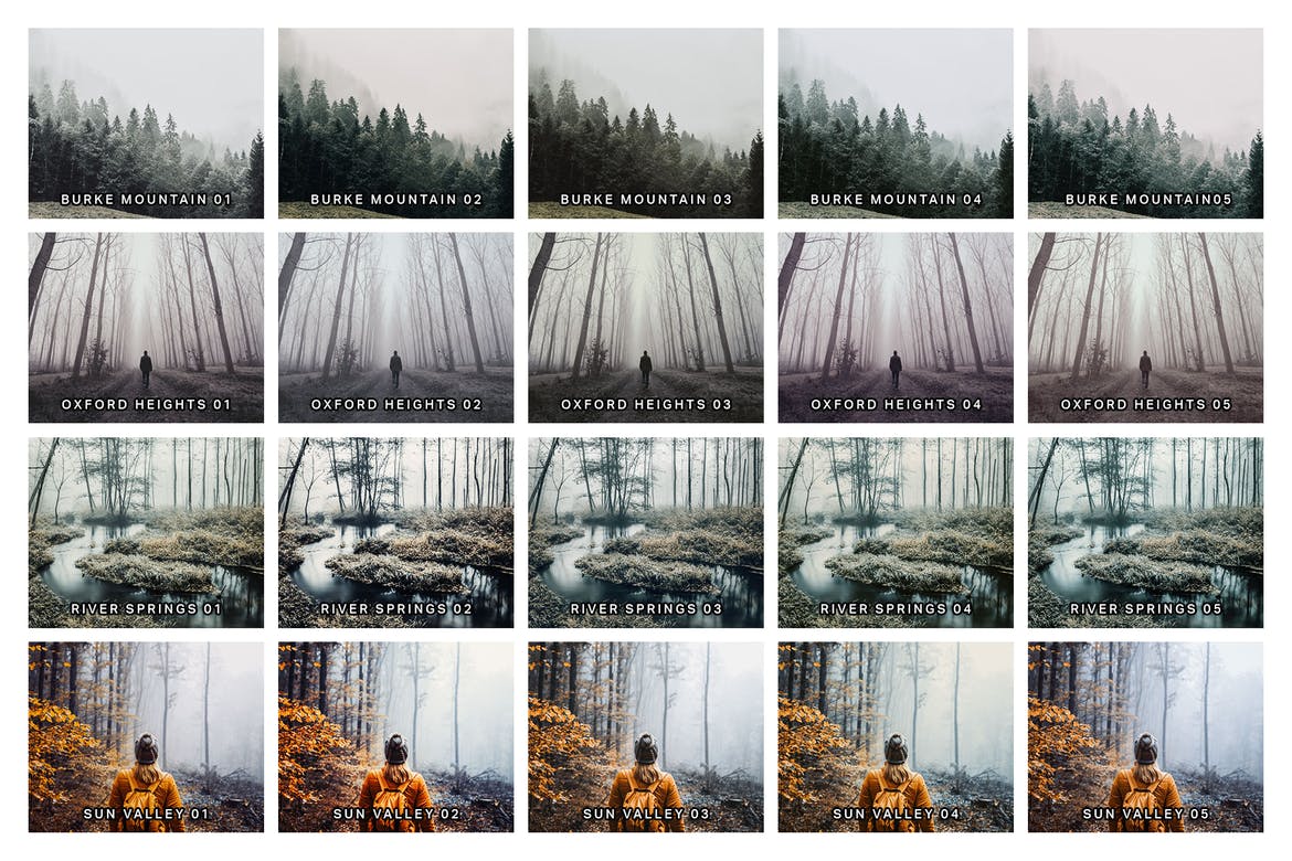 0 Foggy Morning Lightroom Presets and LUTs