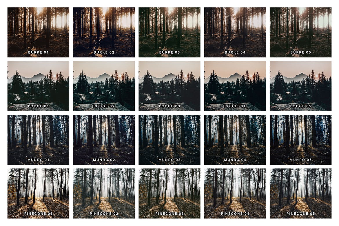20 Moody Forest Lightroom Presets and LUTs