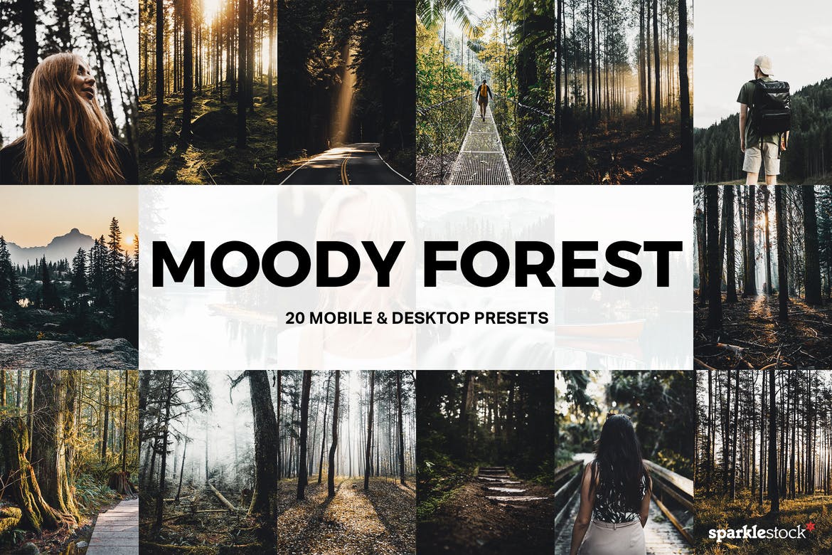20 Moody Forest Lightroom Presets and LUTs