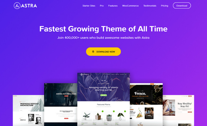 Astra Pro v2.5.1 - Fast and Light WordPress Theme