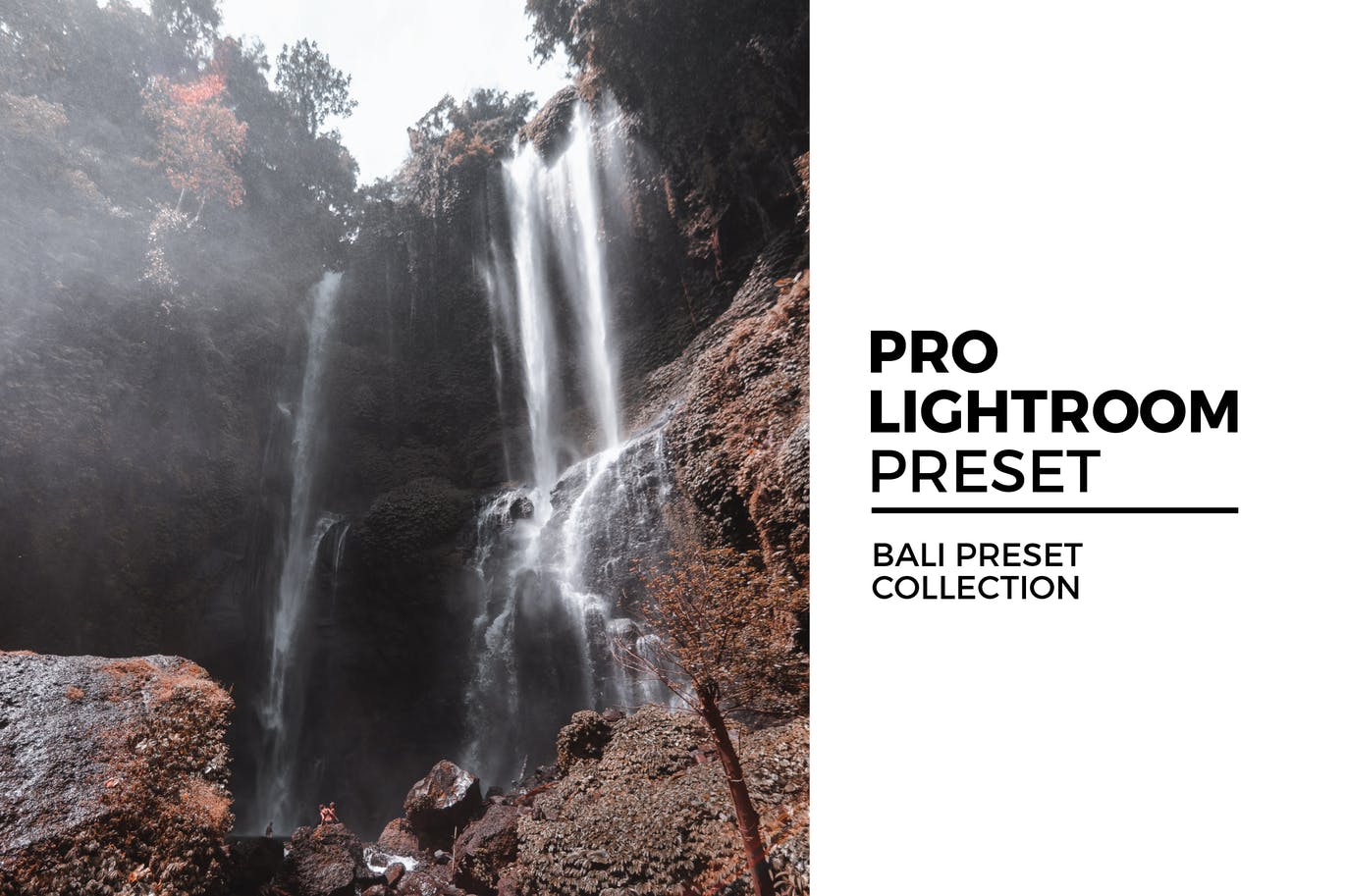 Bali Preset Collection