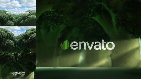 Broccoli Logo Opener | Nature, Ecology, Vegetarianism