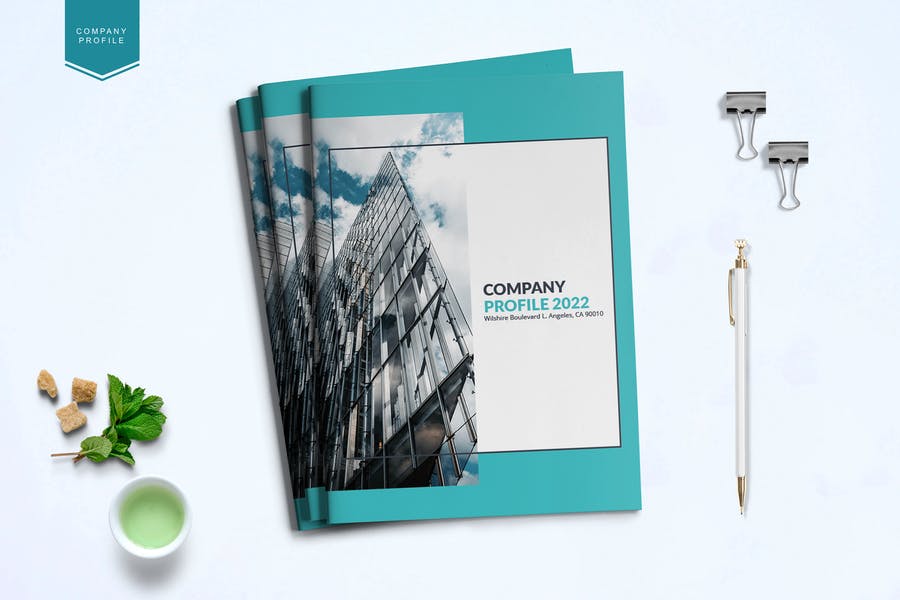 Company Profile