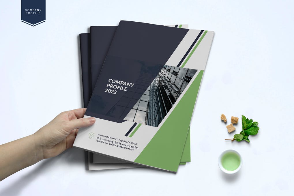 Company Profile