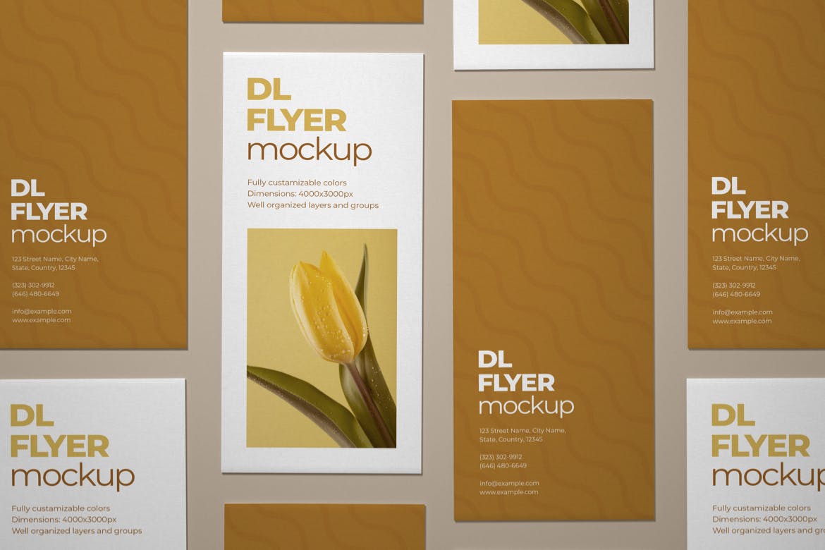 DL Flyer Mockup