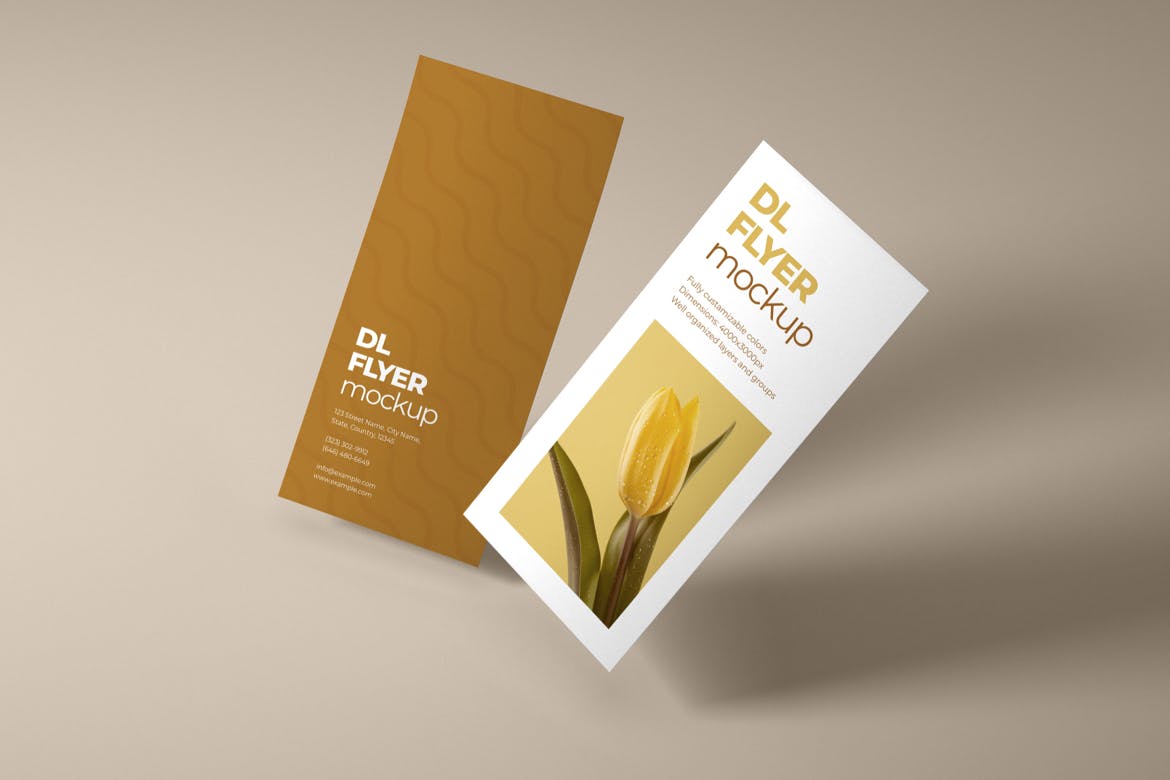 DL Flyer Mockup 5