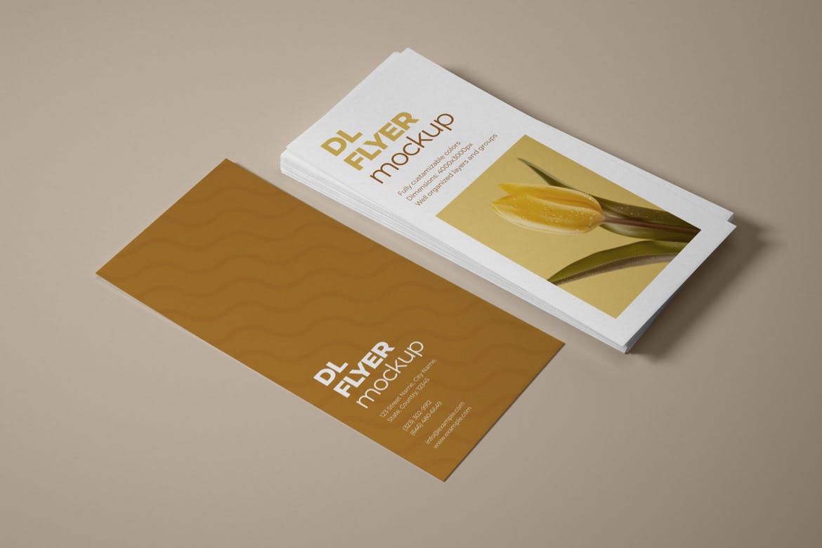 DL Flyer Mockup