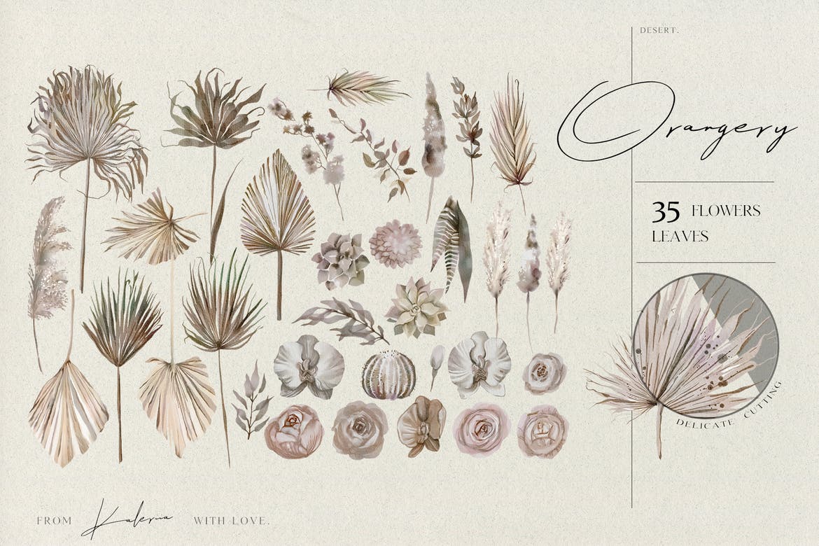 Dried palms - flowers and leaves - watercolor set