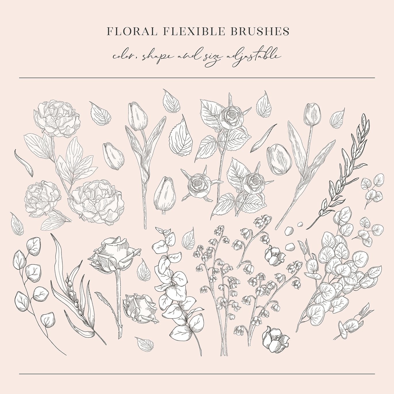 Floral Flexible Illustrator Brushes