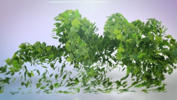 Flying Leaves Logo Reveal