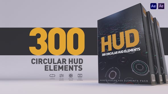 HUD 300
