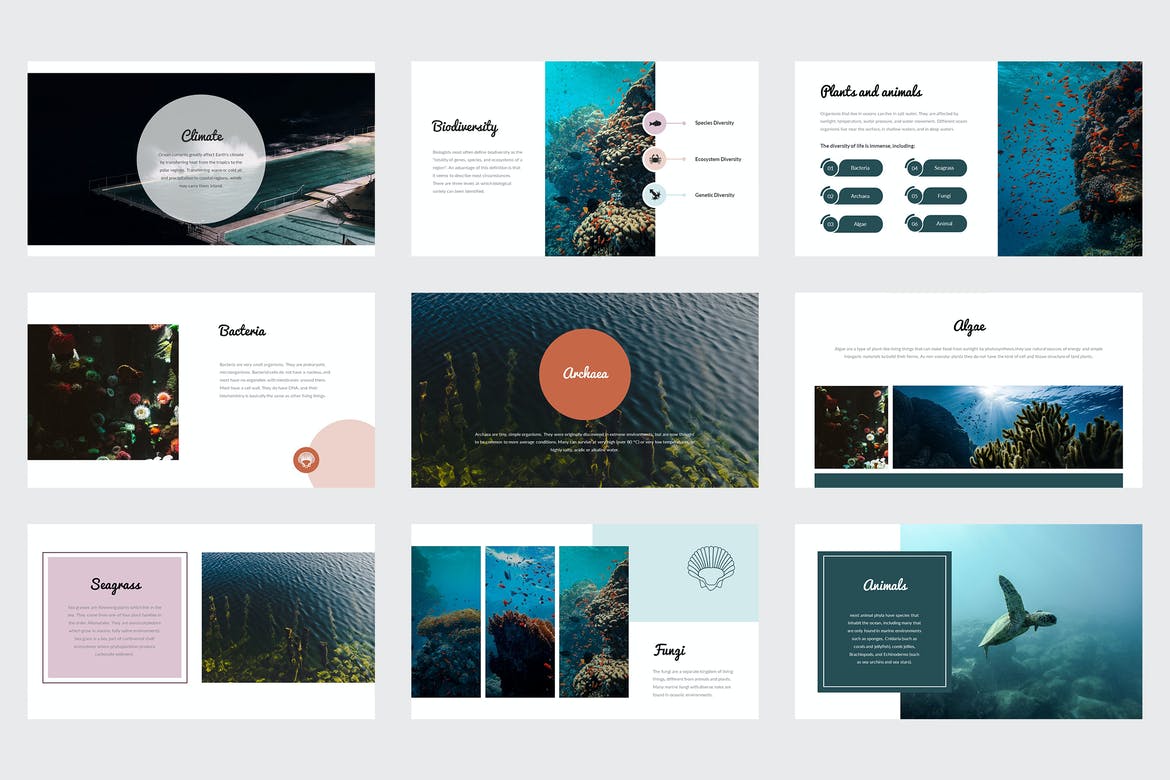 Mazera - Learning About Ocean Keynote