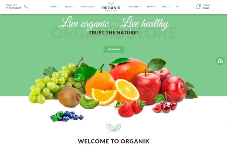 Organizv 1.8 - WooCommerce Organic Products Store
