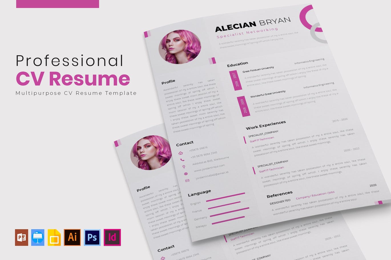 Professional | CV & Resume