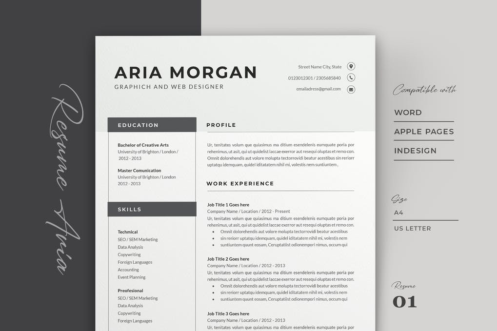 Professional Resume Template