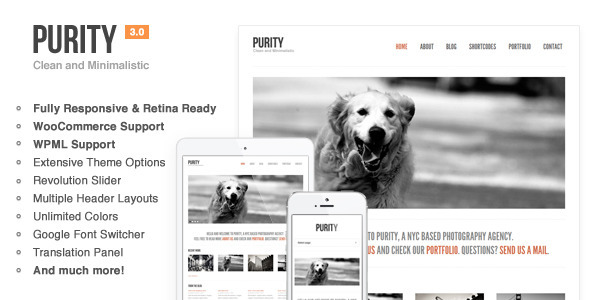 Purity- Responsive, Minimal & Bold WP Theme