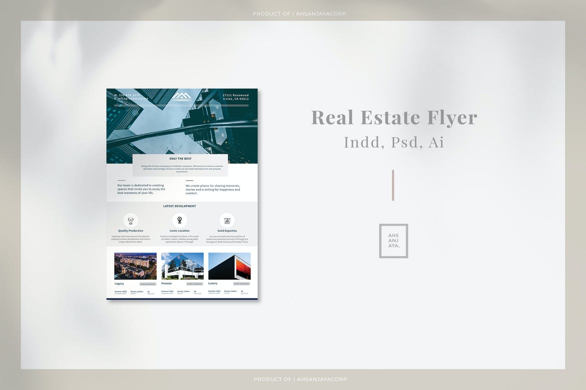 Real Estate Flyer