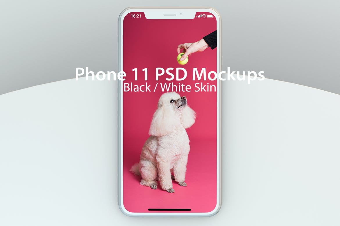 iPhone 11 PSD Mock-ups