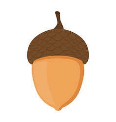 Acorn