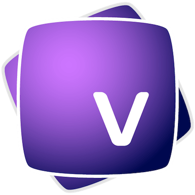 Vectoraster