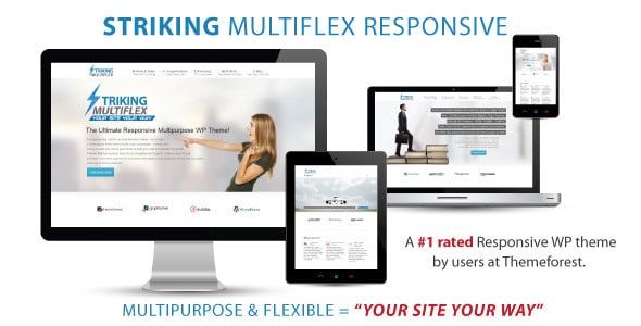 Striking v2.1.2 - Responsive Ecommerce WP Theme