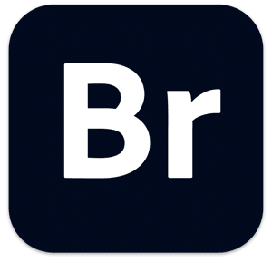 Adobe Bridge 2021