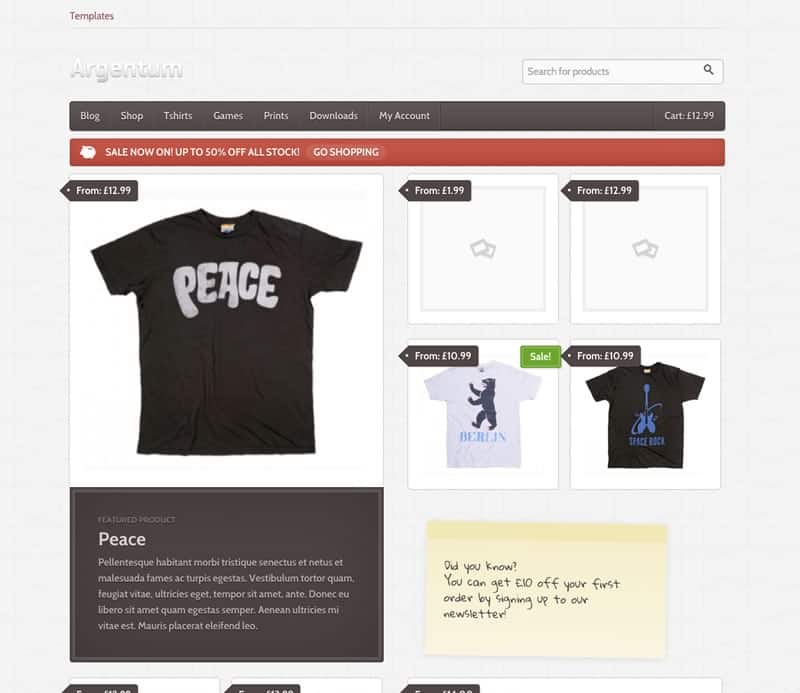 Argentum Premium Theme for WooCommerce