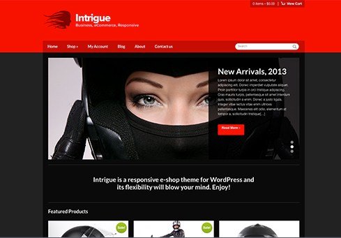 CSSIgniter Intrigue WordPress Theme
