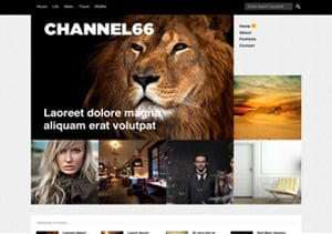 Channel66