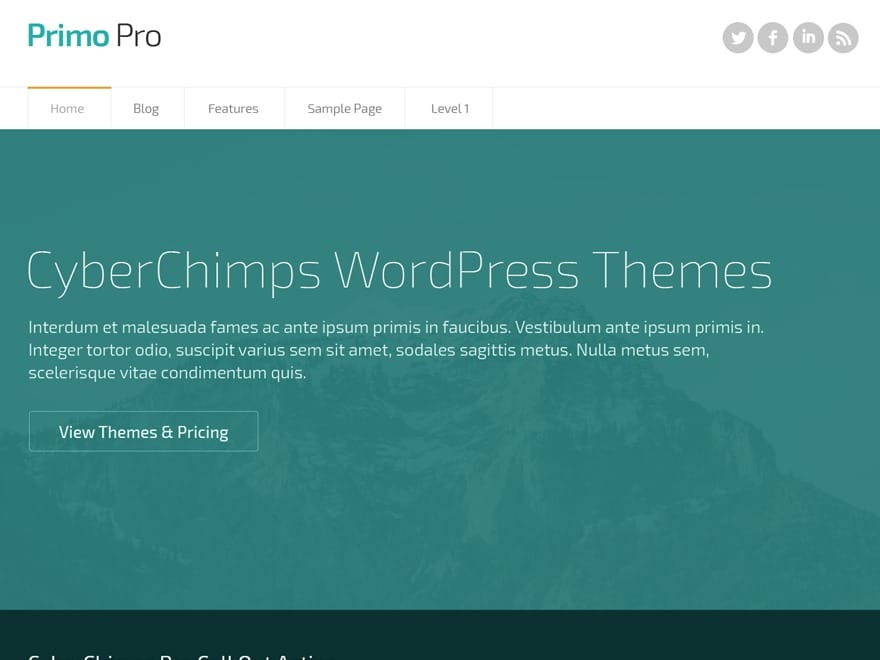 CyberChimps Primo Pro 2