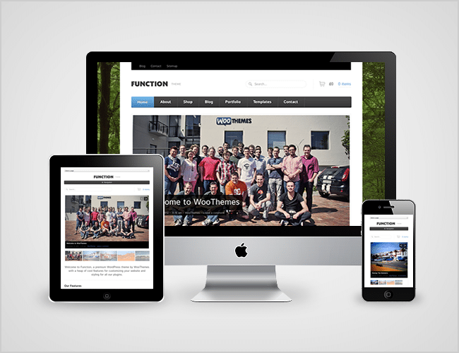 Function Themes for WooCommerce