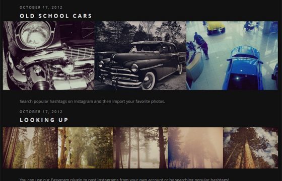 OboxThemes Picks