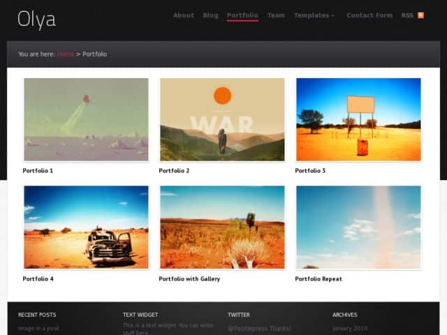 Olya Premium Theme