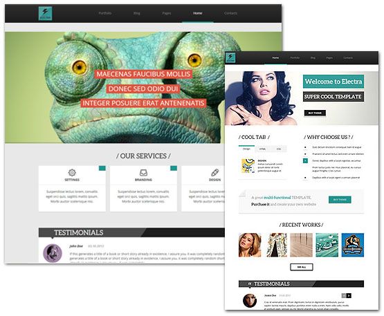 Tesla Themes Electra