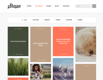 Tesla Themes Shape