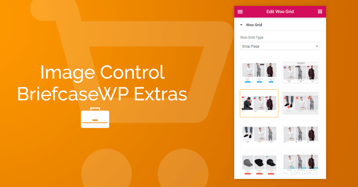 BriefcaseWP Extras