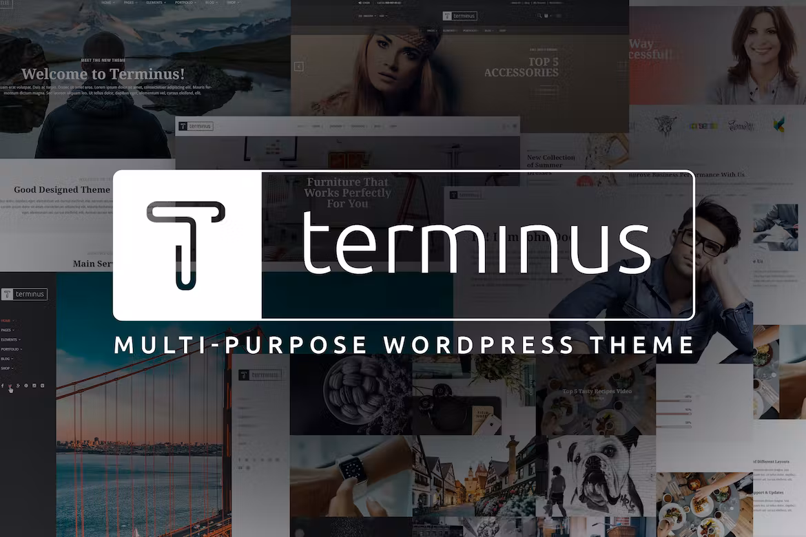 Multi-Purpose WordPress Theme
