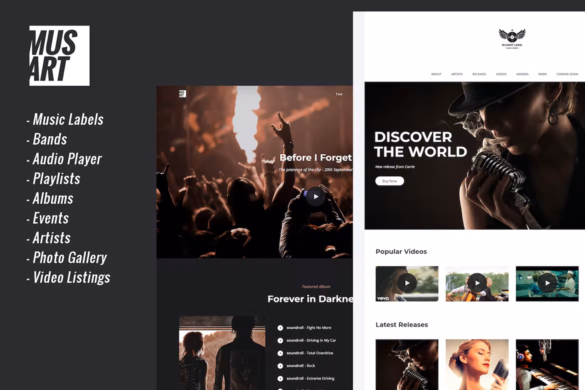 Music Label and Artists WordPress Theme